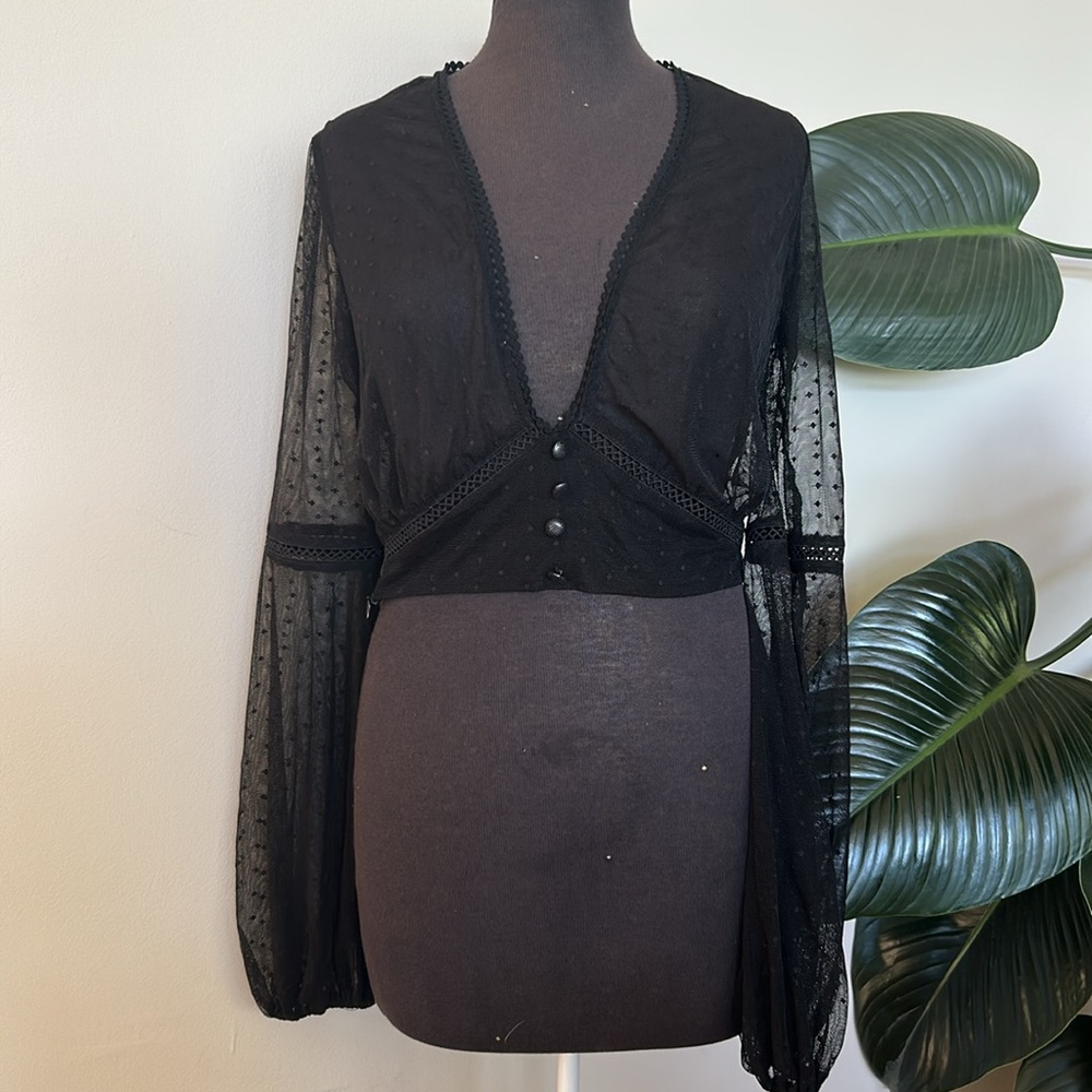 Tiger Mist Black sheer blouse